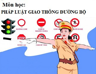 Pháp luật giao thông đường bộ