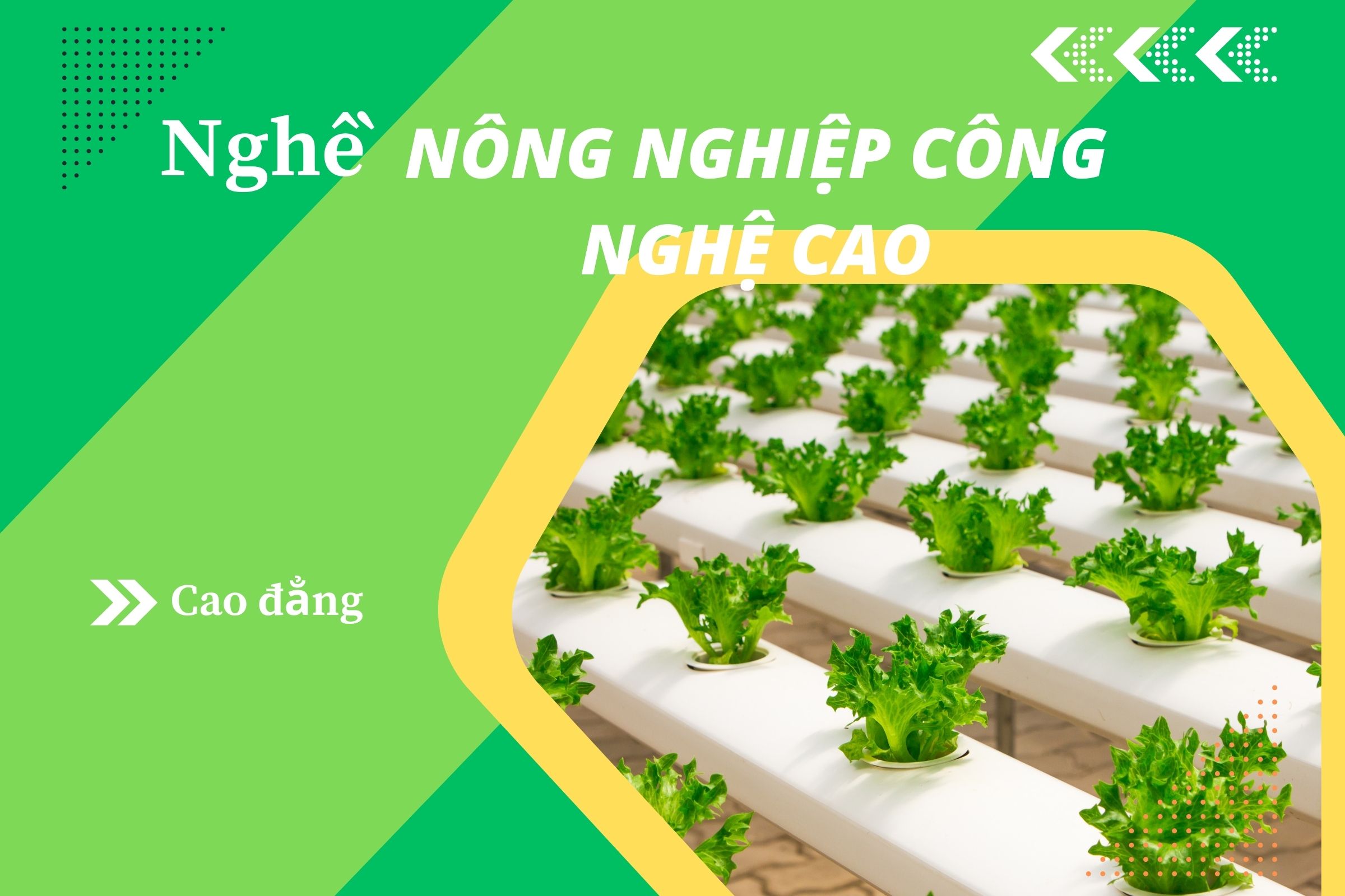 Giáo trình Cao đẳng Nông nghiệp công nghệ cao (CTDT 2021)