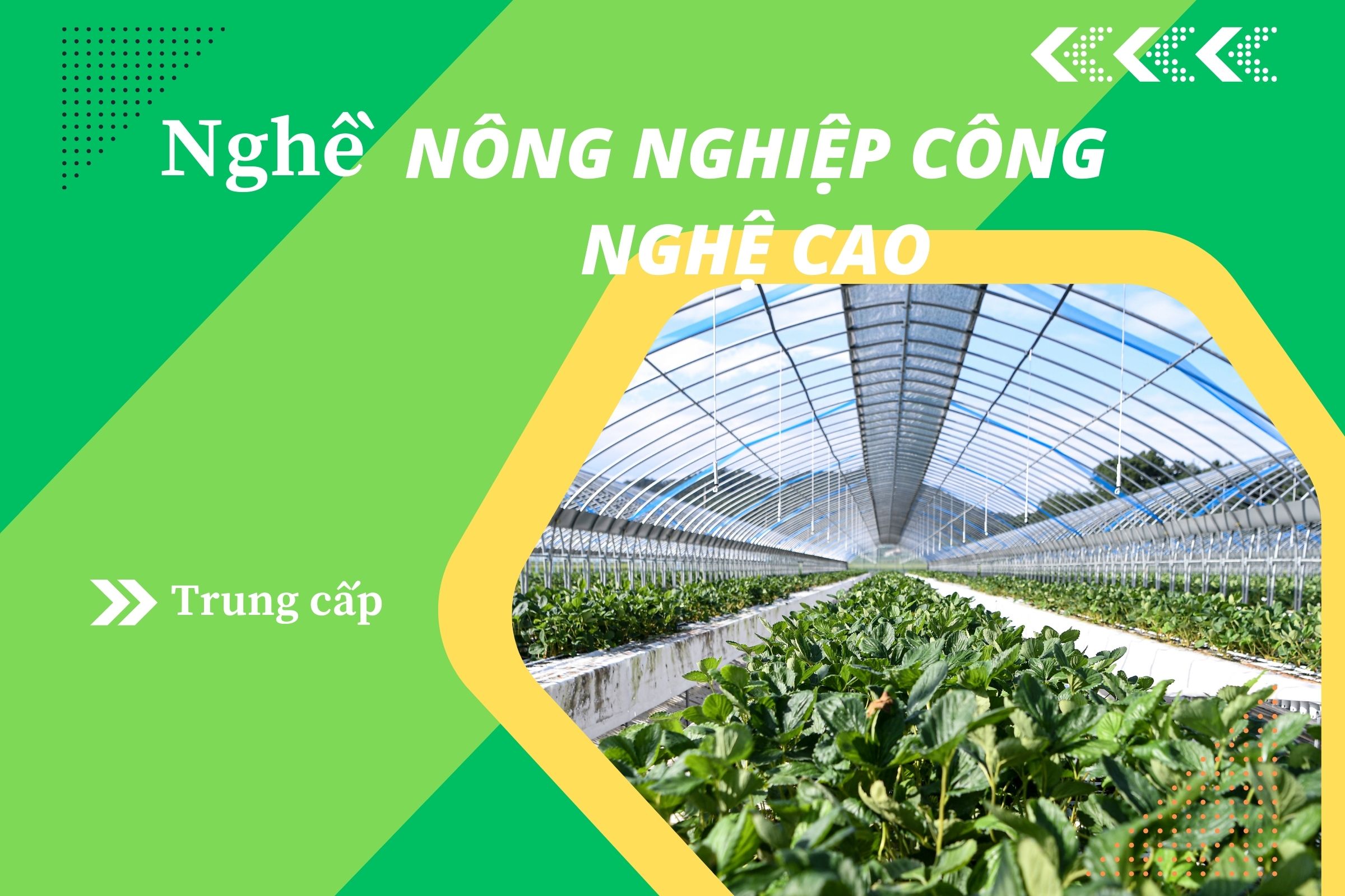 Giáo trình Trung cấp Nông nghiệp công nghệ cao (CTDT 2022)