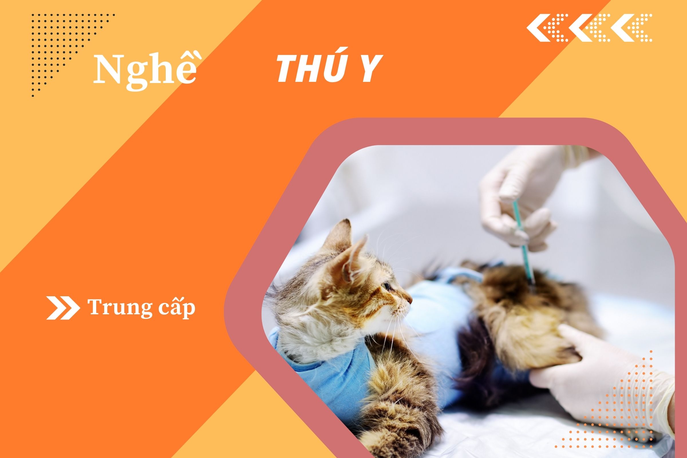 Giáo trình Trung cấp thú y (CTDT 2020)