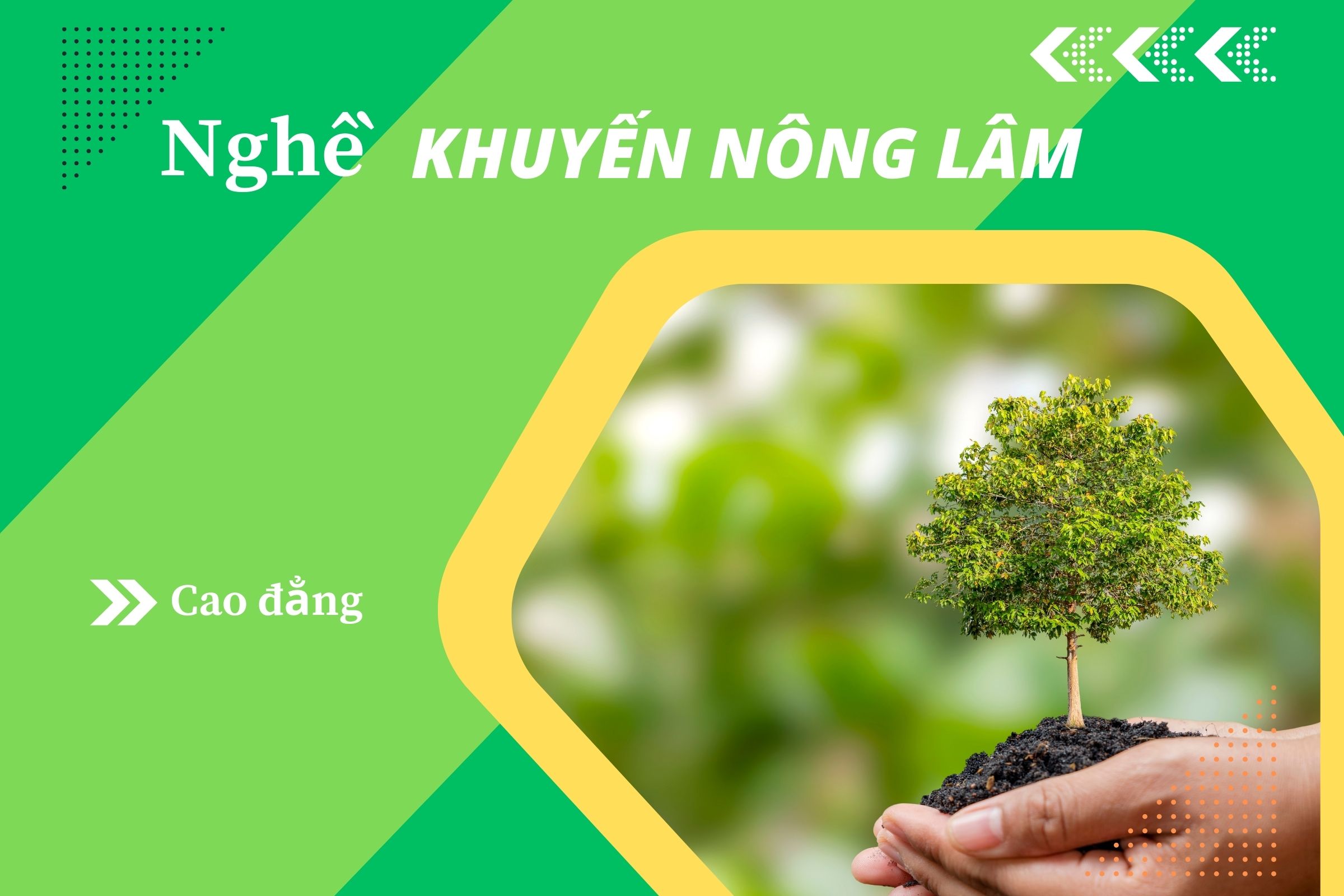 Giáo trình Cao đẳng Khuyến nông lâm(CTDT 2020)