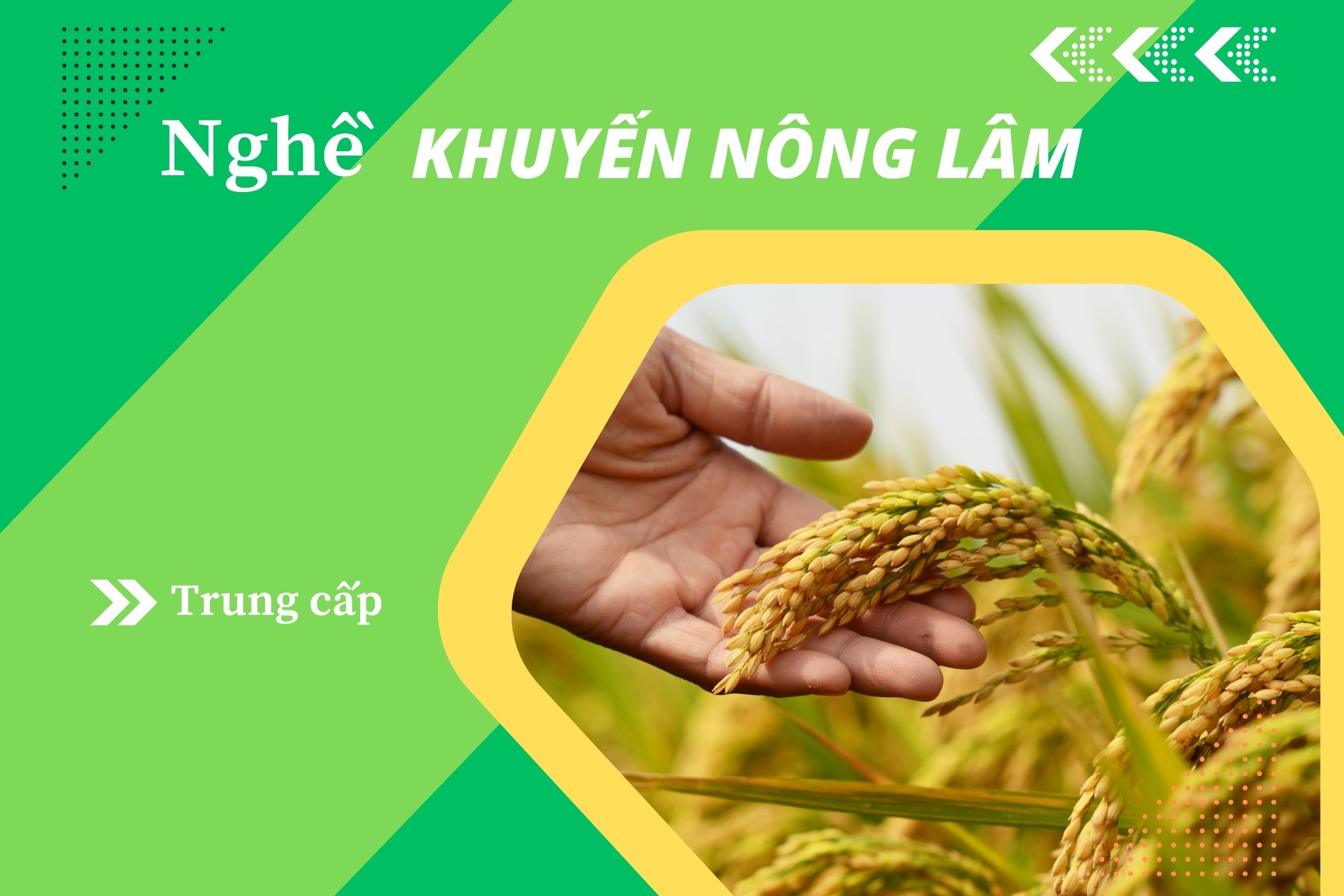 Giáo trình Trung cấp Khuyến nông lâm(CTDT 2020)