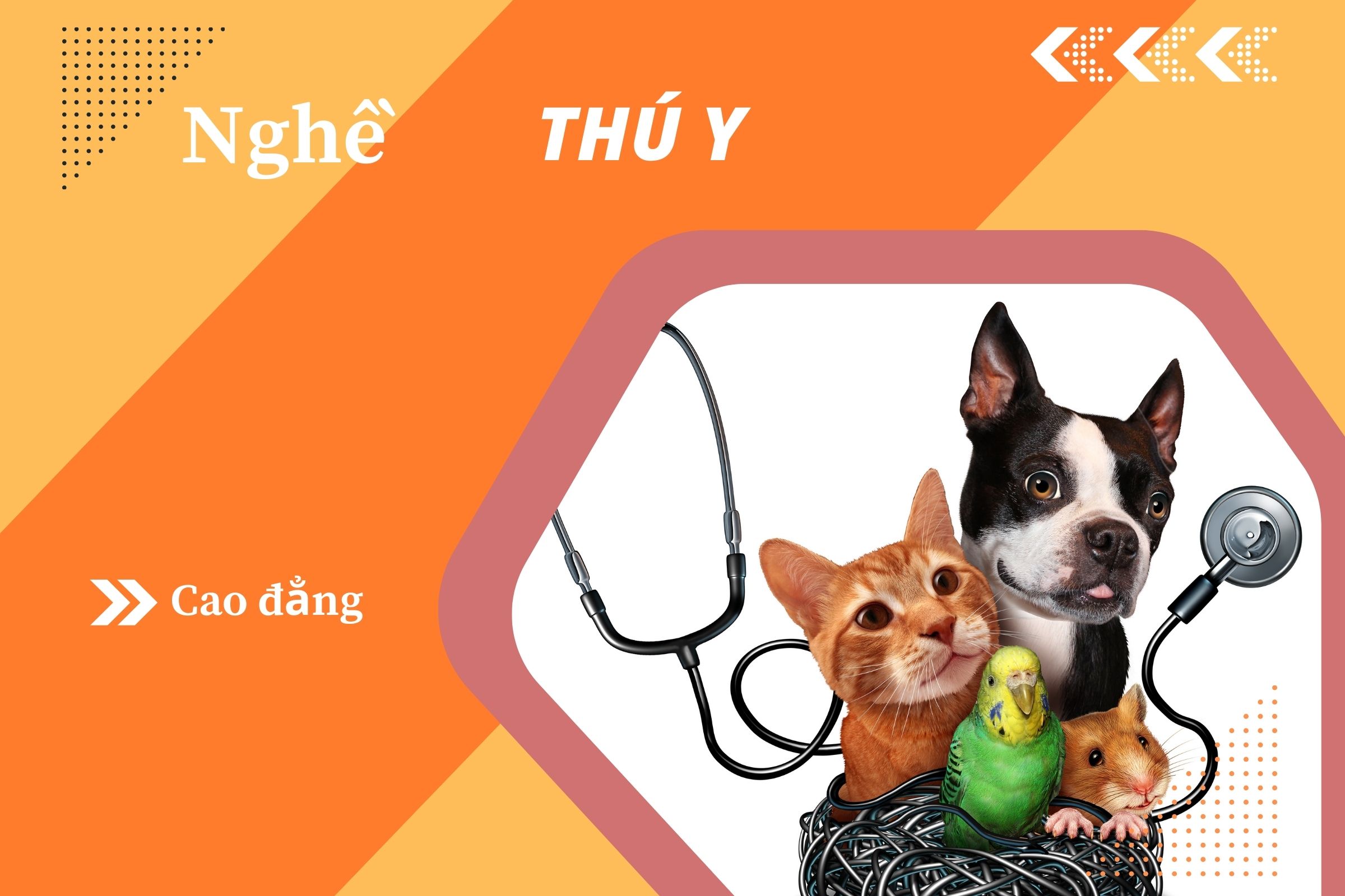 Giáo trình cao đẳng Thú y - liên thông (CTDT 2021)