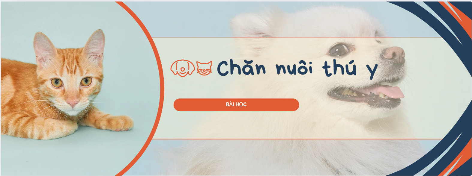 Dinh dưỡng và thức ăn chăn nuôi